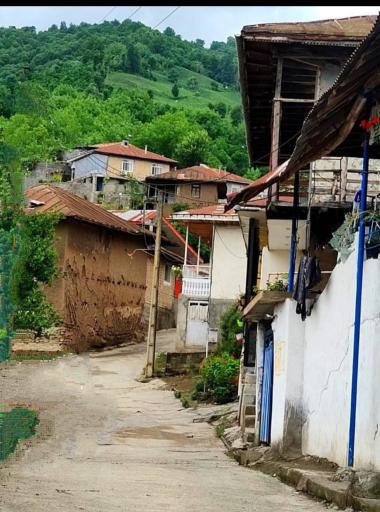 عکس کلجار