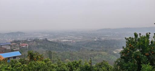 عکس کلجار