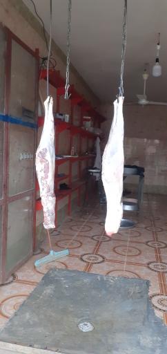 عکس قصابی کل قنبر