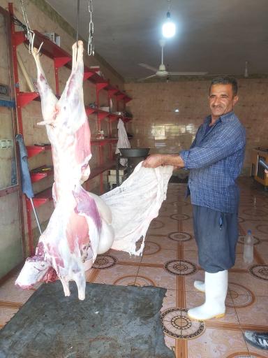 عکس قصابی کل قنبر