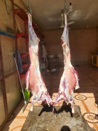 عکس قصابی کل قنبر