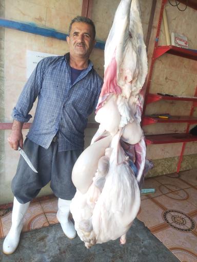 عکس قصابی کل قنبر