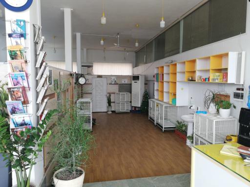 عکس بیمارستان دامپزشکی کاسپین