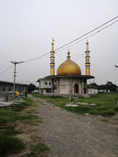 عکس امامزاده عبدالله پیچا کلا