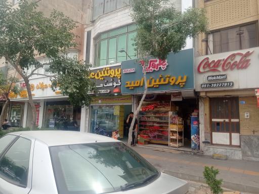 عکس پروتئین علیپور