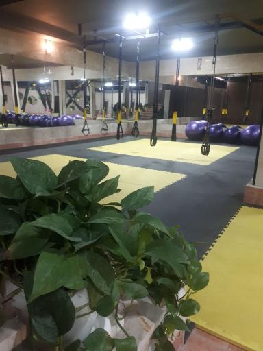 عکس باشگاه طلوع من 