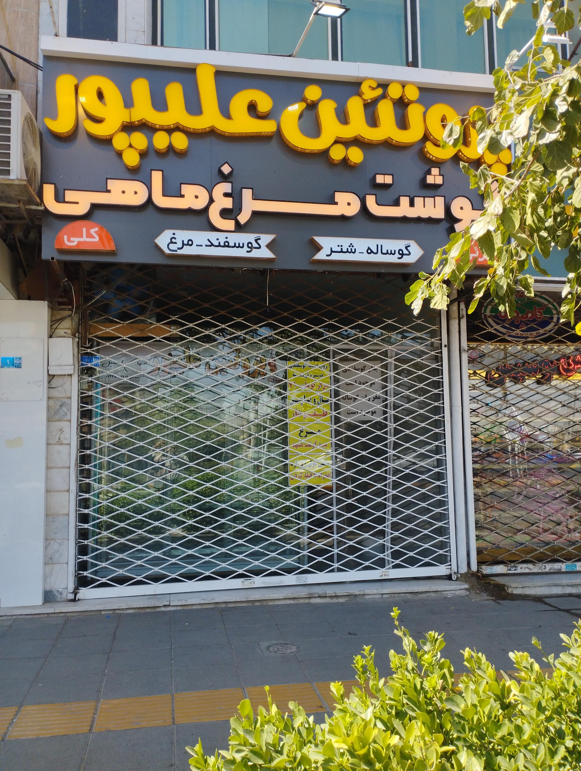عکس پروتئین علیپور