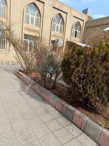 عکس کتابخانه مسجد الرضا