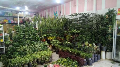 گل فروشی میلاد گل