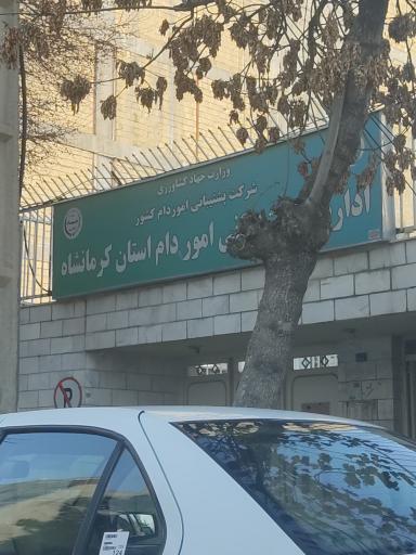 عکس اداره کل پشتیبانی امور دام