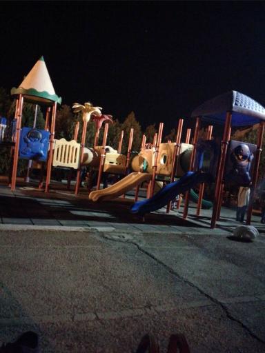 عکس پارک محله ای امام رضا