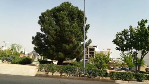 عکس پارک محله ای امام رضا