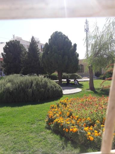 پارک محله ای امام رضا