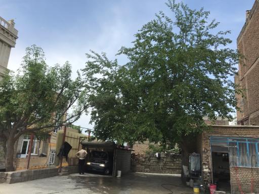 عکس کارواش دریا