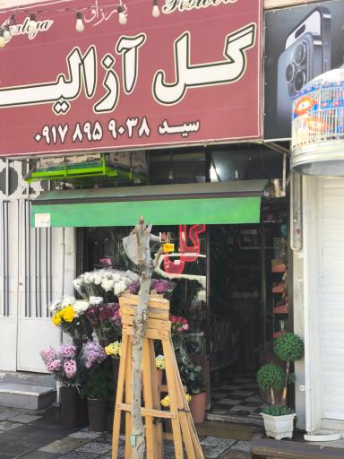 عکس گل آزالیا