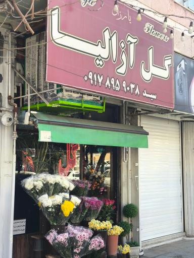 عکس گل آزالیا