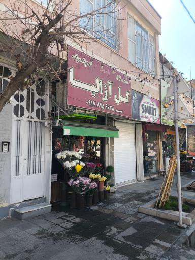 عکس گل آزالیا