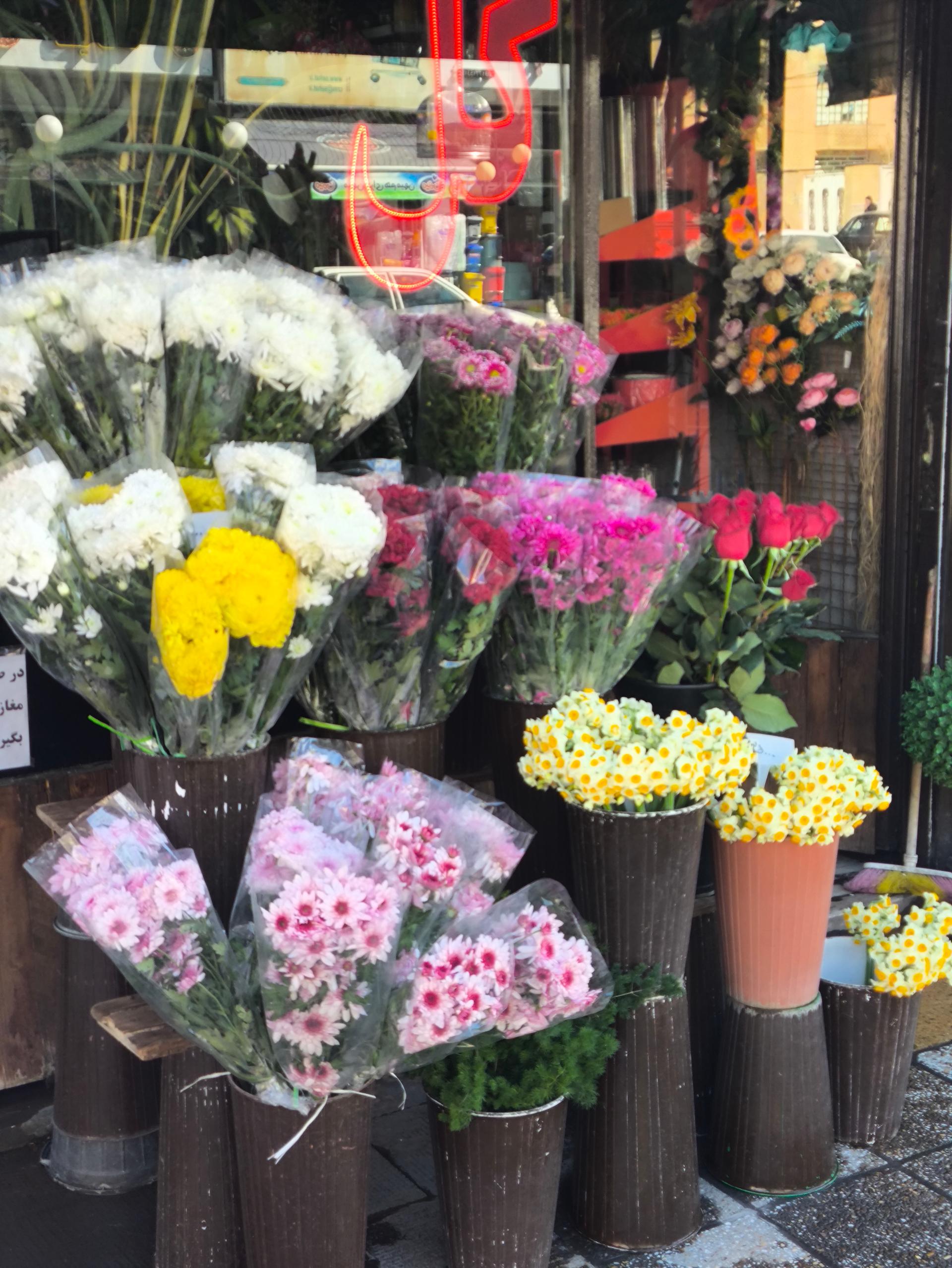 عکس گل آزالیا