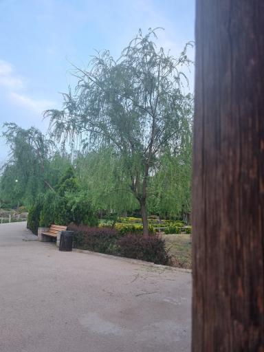 عکس پارک ملا خلیلا