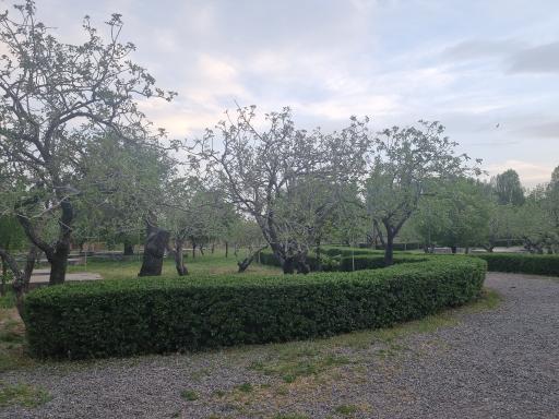 عکس پارک ملا خلیلا