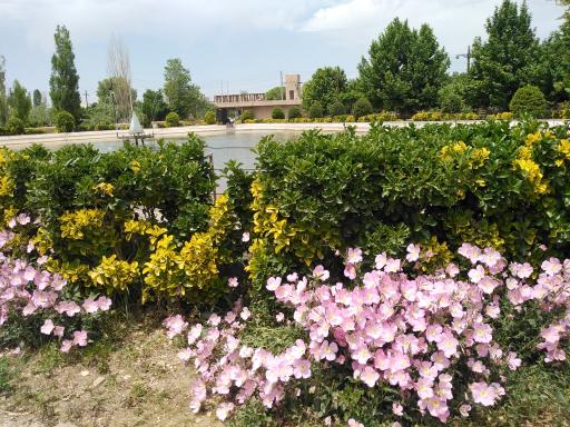 عکس پارک ملا خلیلا