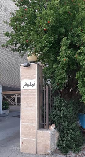 عکس مجتمع مسکونی نیلوفر