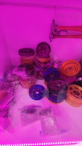 عکس ریمپ دکتر شیراز