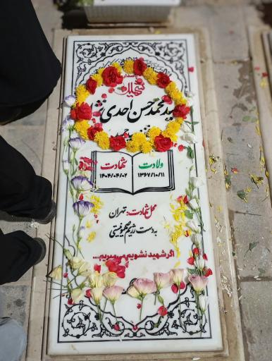 عکس مزار شهید محمدحسن احدی نژاد و شهید سید امیرحسین تقوی