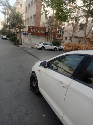 عکس گل بارانا