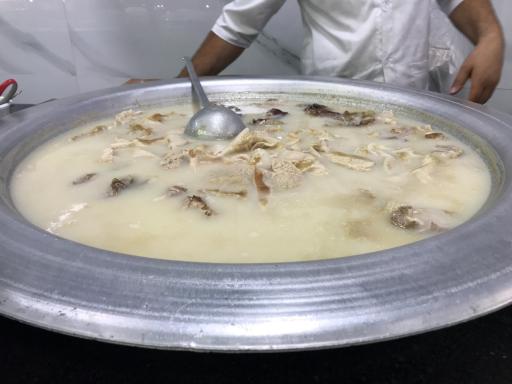 عکس طباخی بلوط