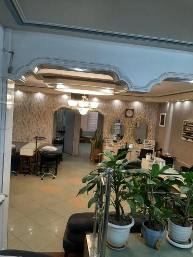 عکس سالن تخصصی لیدا