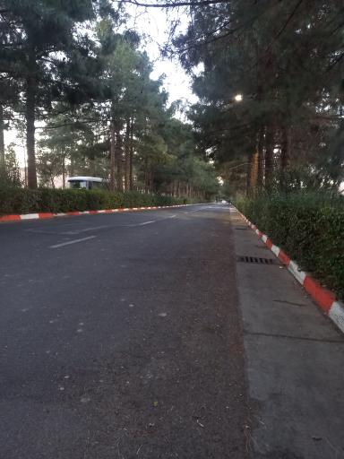 عکس دانشکده علوم پایه