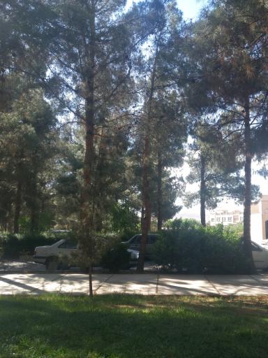 عکس دانشکده علوم پایه