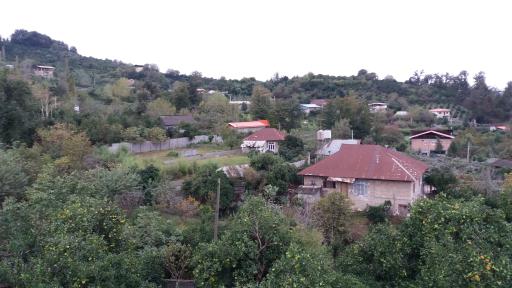 سیدکلا