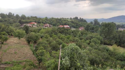 عکس سیدکلا