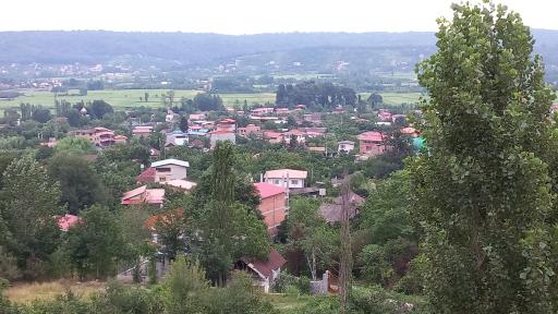 عکس سیدکلا