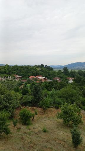 عکس سیدکلا