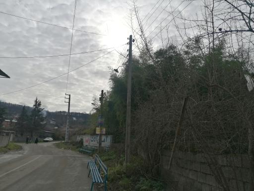 عکس سیدکلا