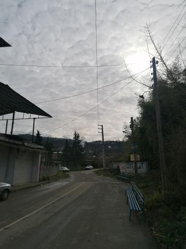 عکس سیدکلا