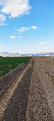 عکس سروستان