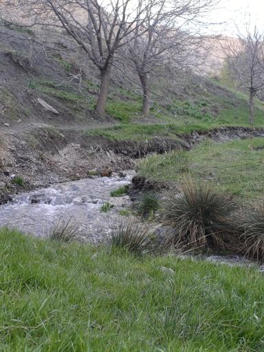 عکس دریاچه چشمه سبز گلمکان