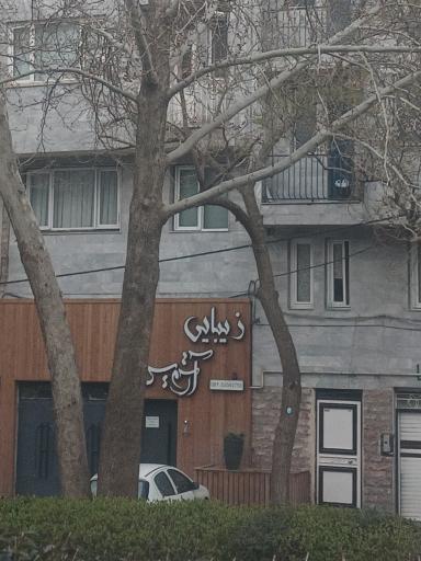عکس زیبایی آرتمیس 