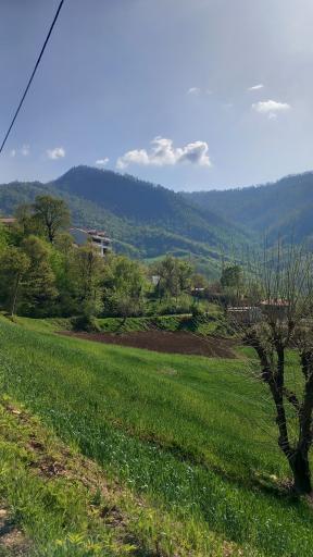 عکس ریگ چشمه بالا