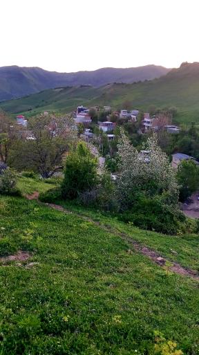 عکس ریگ چشمه بالا