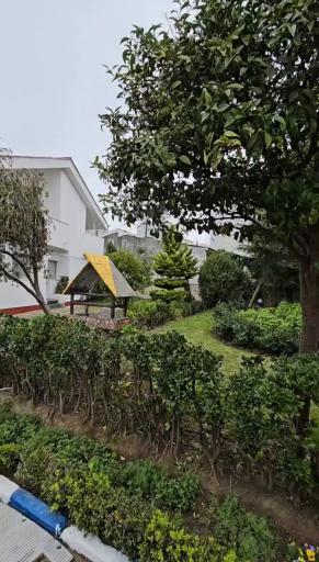 عکس هتل ترنجستان