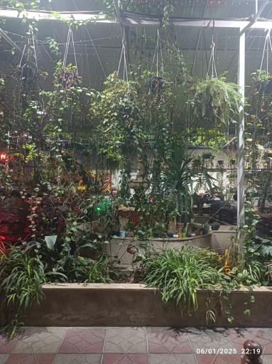 باغچه رستوران خانوادگی تخت جمشید