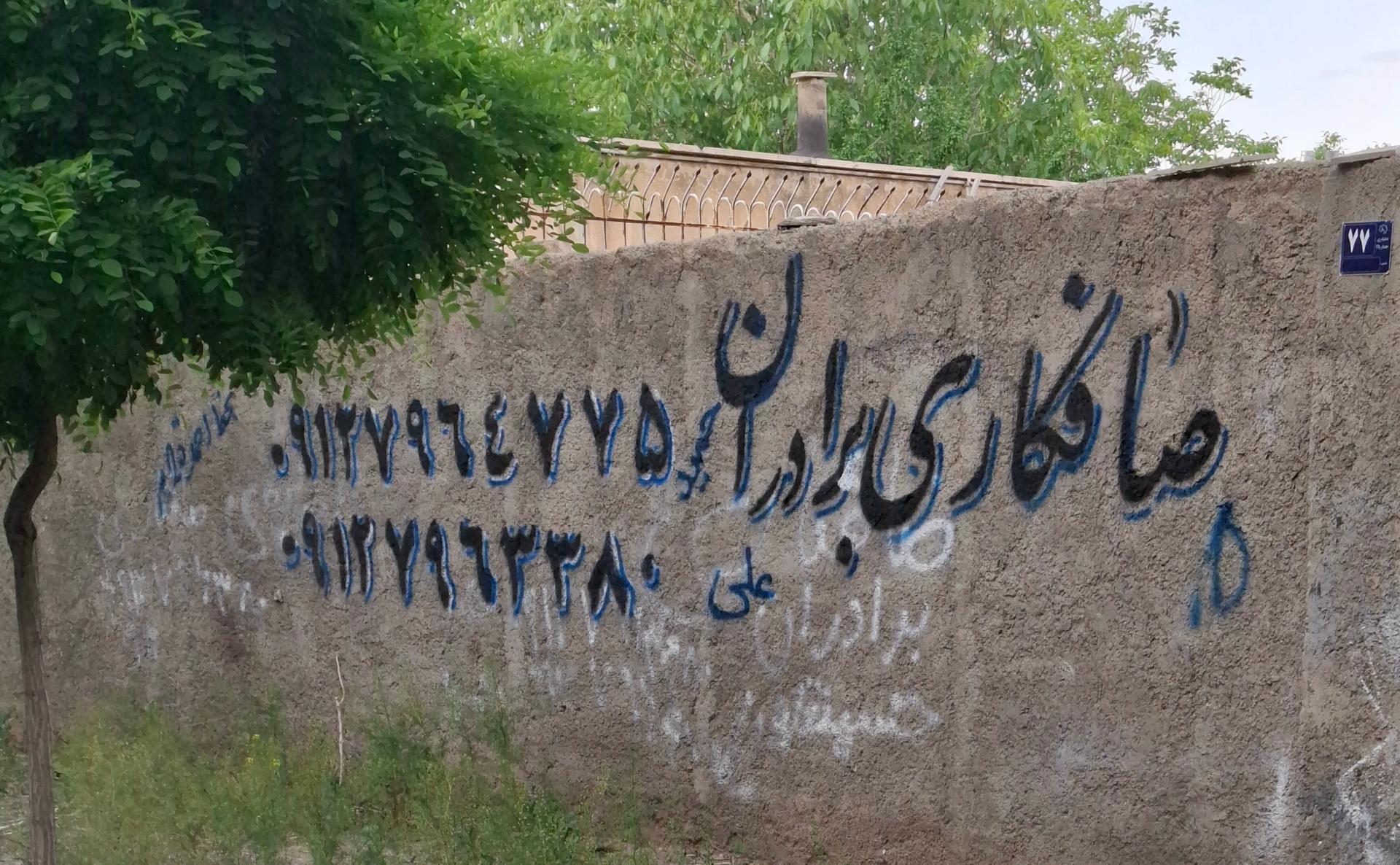 عکس صافکاری برادران