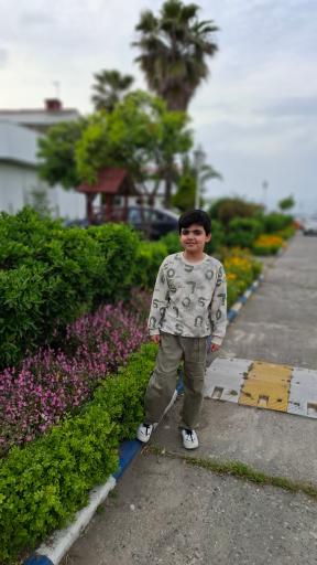 عکس هتل ترنجستان