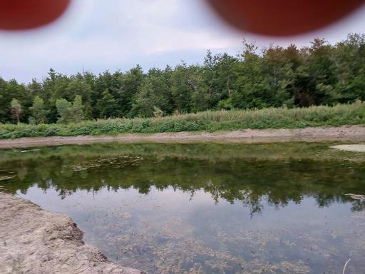 عکس استخر شهدای بسیج