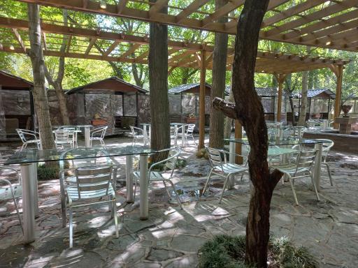 عکس رستوران لیدی برد